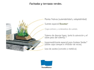 Fachadas y terrazas verdes.
 