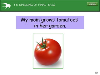 1-5 SPELLING OF FINAL -SI-ES

My mom grows tomatoes
in her garden.

48

 