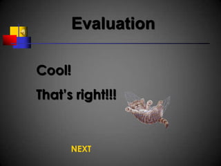Evaluation

Cool!
That’s right!!!


      NEXT
 