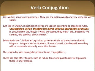 Verb Conjugation ¡Los verbos son  muy   importantes ! They are the action words of every sentence we speak. Just like in English, most Spanish verbs are spoken according to  organized rules .   Conjugating a verb is changing it to agree with the appropriate pronouns (I, you, he/she, we, they): “I walk, she walks, they walk,” etc., becomes “yo camino, ella camina, ellos caminan.”  Some verbs don’t follow an organized pattern closely, so they are considered irregular.  Irregular verbs require a bit more practice and repetition—they will be covered more fully in another lesson. This lesson focuses on regular present tense conjugations. There are also other tenses, such as future tense and past tense; we’ll go over those in later lessons. 
