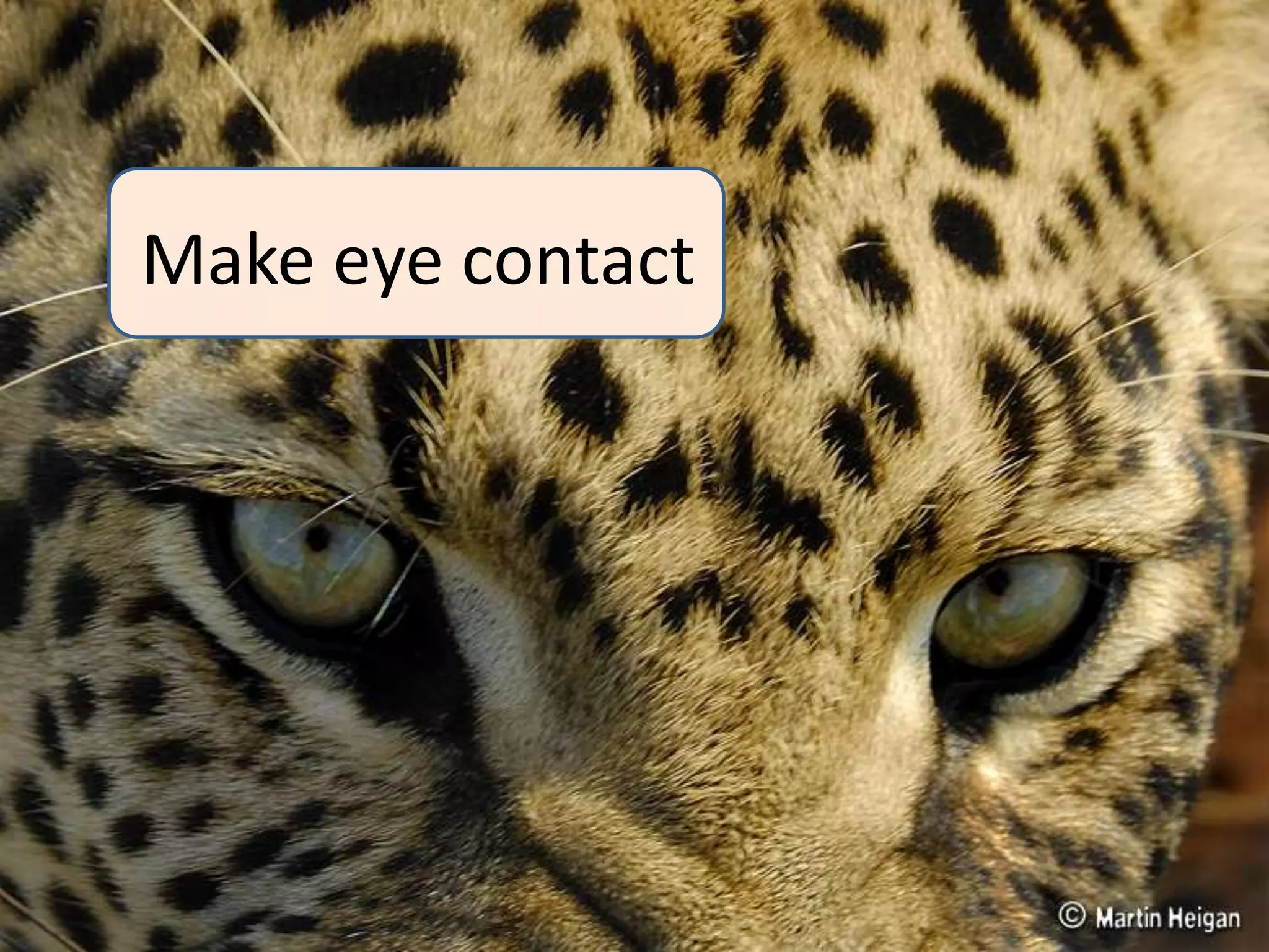 Make eye contact