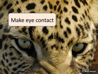 Make eye contact