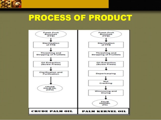 Sime Darby Organization Chart