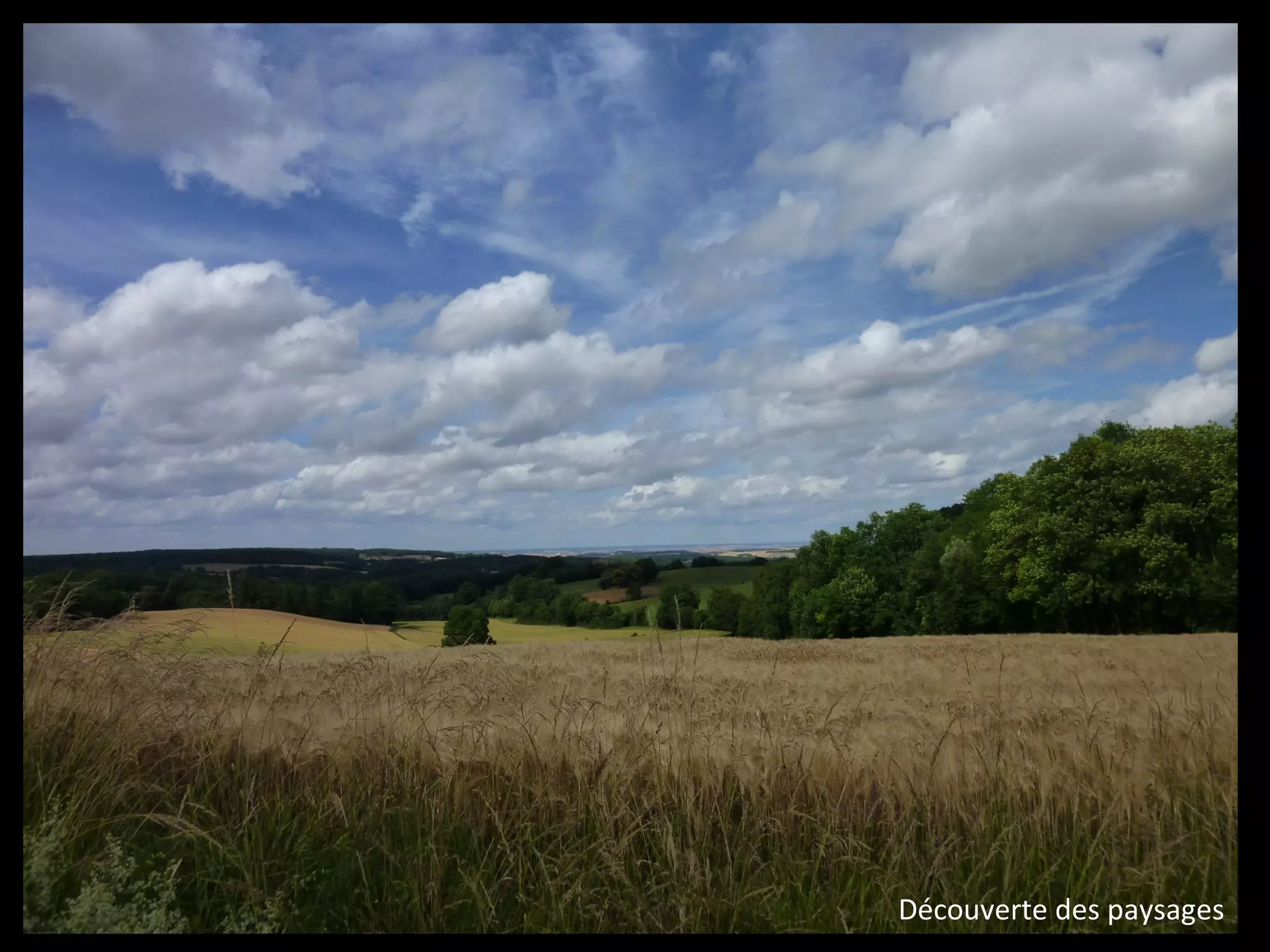 Une basse vallée verrouillée
Perception de la vallée de l'Ouanne par ses massifs forestiers
Découverte des paysages