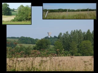 Une basse vallée verrouillée
Perception de la vallée de l'Ouanne par ses massifs forestiers
Cartographie et production IMAGES EN HERBE