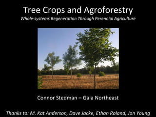 Tree Crops and Agroforestry Whole-systems Regeneration Through Perennial Agriculture Connor Stedman – Gaia Northeast Thanks to: M. Kat Anderson, Dave Jacke, Ethan Roland, Jon Young 