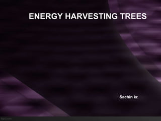 ENERGY HARVESTING TREES
Sachin kr.
 