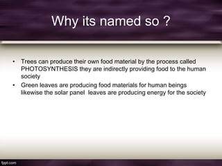 Why its named so ?
• Trees can produce their own food material by the process called
PHOTOSYNTHESIS they are indirectly providing food to the human
society
• Green leaves are producing food materials for human beings
likewise the solar panel leaves are producing energy for the society
 