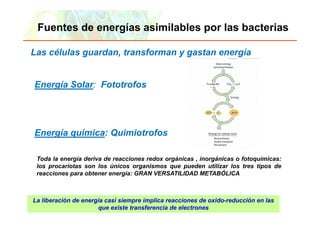 Fuentes de energías asimilables por las bacterias

Las células guardan, transforman y gastan energía


Energía Solar: Fototrofos




Energía química: Quimiotrofos

 Toda la energía deriva de reacciones redox orgánicas , inorgánicas o fotoquímicas:
 los procariotas son l
 l         i t        los ú i
                          únicos organismos que pueden utilizar l
                                       i             d      tili  los ttres ti
                                                                            tipos d
                                                                                  de
 reacciones para obtener energía: GRAN VERSATILIDAD METABÓLICA



La liberación de energía casi siempre implica reacciones de oxido-reducción en las
                                     que existe transferencia de electrones
Copyright © 2006 Pearson Education, Inc., publishing as Benjamin Cummings
 