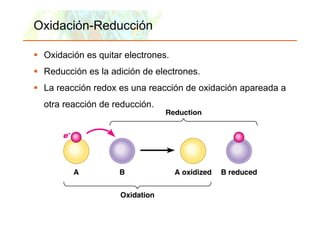 Oxidación-Reducción

      Oxidación es quitar electrones.
      Reducción es la adición de electrones.
      La reacción redox es una reacción de oxidación apareada a
      otra reacción de reducción.




Copyright © 2006 Pearson Education, Inc., publishing as Benjamin Cummings
 