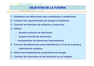 OBJETIVOS DE LA TUTORIA


  1. Establecer las diferencias entre anabolismo y catabolismo
  2. Conocer los requerimientos de energía en bacterias
  3. Conocer los términos de oxidación y reducción
  4. Definir:
           •     donador primario de electrones
           •     aceptor terminal de electrones.
           • transportador de electrones intermediarios
  5. Conocer las diferencias entre fosforilación a nivel de sustrato y
                 fosforilación id ti
                 f f il ió oxidativa
  6. Definir los metabolismos productores de energía
  7. Conocer las relaciones de las bacterias con el oxígeno
Copyright © 2006 Pearson Education, Inc., publishing as Benjamin Cummings
 