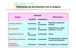 Relaciones de las bacterias con el oxígeno


                                                             Ambiente
                Grupos                                                                     Efecto del O2
                                                 Aeróbico              Anaeróbico

                                                                       No            Requerido (respiración
  Aerobios estrictos                           Crecimiento
                                                                       Crecimiento   aerobia)

                                                                       No            Requerido pero a bajas
  Microaerofilos                               Crecimiento
                                                                       Crecimiento   tensiones < 0.2 atm

                                               No
  Anaerobios estrictos                                                 Crecimiento   Tóxico
                                               Crecimiento

                                                                                     No requerido pero utilizado
  Anaerobios facultativos                      Crecimiento             Crecimiento
                                                                                     cuando esta disponible

  Anaerobios
                                               Crecimiento             Crecimiento   No requerido y no utilizado
  aerotolerantes


Copyright © 2006 Pearson Education, Inc., publishing as Benjamin Cummings
 