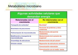 Metabolismo microbiano

                     Algunas actividades celulares que
                            demandan energía
                 Relacionadas con el                                        No relacionadas con el
                     crecimiento                                                 crecimiento
      Transporte de nutrientes*                                        Movilidad*
                                                                       Secreción de proteínas y otras
      Biosíntesis de precursores
                                                                       sustancias
                                                                       Mantenimiento del pool de
      Polimerización de macromoléculas
                                                                       metabolitos
      Modificación y transporte de                                     Mantenimiento de la presión de
      macromoléculas                                                   turgencia*
      Ensamblaje de estructuras                                        Mantenimiento del pH celular*
      División celular                                                 Reparación de estructuras celulares
                                                                       Comunicación intercelular
                                                                       C    i   ió i t     l l
                                                                       Comunicación con el medio: taxias
Copyright © 2006 Pearson Education, Inc., publishing as Benjamin Cummings
 