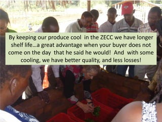 Zecc Storage Zero Energy Cool Chamber Training in Tanzania | PDF