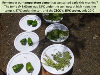 Zecc Storage Zero Energy Cool Chamber Training in Tanzania | PDF