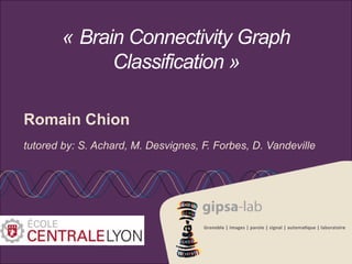 « Brain Connectivity Graph 
Classification » 
Romain Chion 
tutored by: S. Achard, M. Desvignes, F. Forbes, D. Vandeville 
 