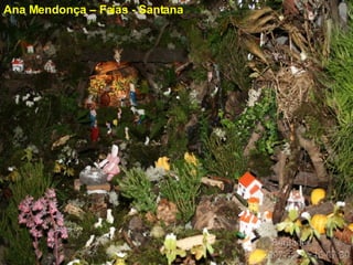 Ana Mendonça – Faias - Santana  