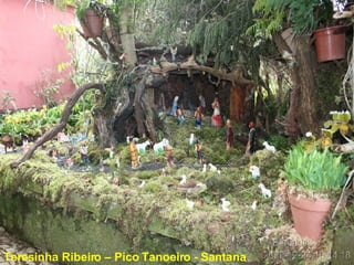 Teresinha Ribeiro – Pico Tanoeiro - Santana  