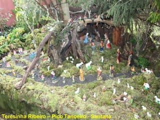 Teresinha Ribeiro – Pico Tanoeiro - Santana  