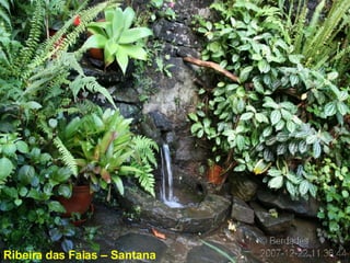 Ribeira das Faias – Santana  