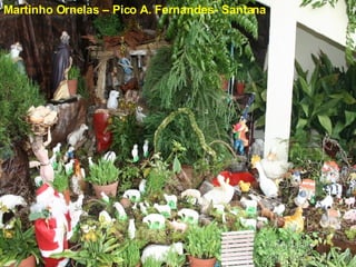 Martinho Ornelas – Pico A. Fernandes- Santana  