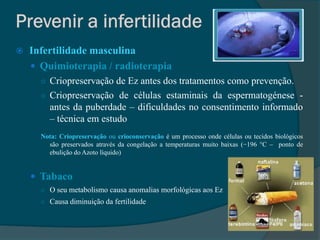    Infertilidade masculina
     Quimioterapia / radioterapia
      ○ Criopreservação de Ez antes dos tratamentos como prevenção.
      ○ Criopreservação de células estaminais da espermatogénese -
         antes da puberdade – dificuldades no consentimento informado
         – técnica em estudo
      Nota: Criopreservação ou crioconservação é um processo onde células ou tecidos biológicos
        são preservados através da congelação a temperaturas muito baixas (−196 °C – ponto de
        ebulição do Azoto líquido)


     Tabaco
      ○ O seu metabolismo causa anomalias morfológicas aos Ez
      ○ Causa diminuição da fertilidade
 
