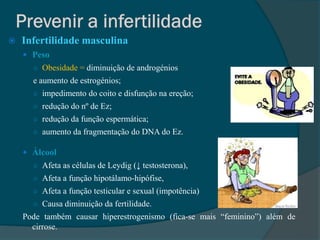    Infertilidade masculina
     Peso
      ○ Obesidade = diminuição de androgénios
      e aumento de estrogénios;
      ○ impedimento do coito e disfunção na ereção;
      ○ redução do nº de Ez;
      ○ redução da função espermática;
      ○ aumento da fragmentação do DNA do Ez.

     Álcool
      ○ Afeta as células de Leydig (↓ testosterona),
      ○ Afeta a função hipotálamo-hipófise,
      ○ Afeta a função testicular e sexual (impotência)
      ○ Causa diminuição da fertilidade.
    Pode também causar hiperestrogenismo (fica-se mais “feminino”) além de
      cirrose.
 