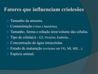    Tamanho da amostra.
   Contaminação (vírus e bactérias).
   Tamanho, forma e relação área/volume das células.
   Tipo de célula(s) - EZ, Ovócito, Embrião…
   Concentração de água intracelular.
   Estado de maturação (ovócitos em VG, MI, MII…).
   Espécie animal.
 