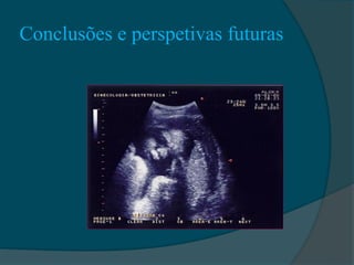 Conclusões e perspetivas futuras
 