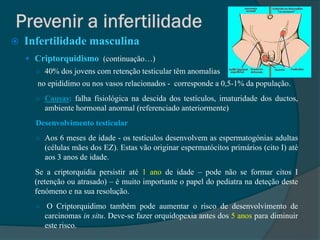    Infertilidade masculina
     Criptorquidismo (continuação…)
      ○ 40% dos jovens com retenção testicular têm anomalias
       no epidídimo ou nos vasos relacionados - corresponde a 0,5-1% da população.
      ○ Causas: falha fisiológica na descida dos testículos, imaturidade dos ductos,
          ambiente hormonal anormal (referenciado anteriormente)
      Desenvolvimento testicular
      ○ Aos 6 meses de idade - os testículos desenvolvem as espermatogónias adultas
          (células mães dos EZ). Estas vão originar espermatócitos primários (cito I) até
          aos 3 anos de idade.
      Se a criptorquidia persistir até 1 ano de idade – pode não se formar citos I
      (retenção ou atrasado) – é muito importante o papel do pediatra na deteção deste
      fenómeno e na sua resolução.
      ○    O Criptorquidimo também pode aumentar o risco de desenvolvimento de
          carcinomas in situ. Deve-se fazer orquidopexia antes dos 5 anos para diminuir
          este risco.
 