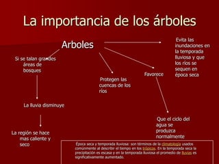 La importancia de los árboles
                                                                                          Evita las
                       Arboles                                                           inundaciones en
                                                                                         la temporada
 Si se talan grandes                                                                     lluviosa y que
     áreas de                                                                            los ríos se
     bosques                                                                             sequen en
                                                                      Favorece           época seca
                                           Protegen las
                                          cuencas de los
                                          ríos

     La lluvia disminuye

                                                                             Que el ciclo del
                                                                             agua se
La región se hace                                                            produzca
    mas caliente y                                                           normalmente
    seco                    Época seca y temporada lluviosa: son términos de la climatología usados
                           comúnmente al describir el tiempo en los trópicos. En la temporada seca la
                           precipitación es escasa y en la temporada lluviosa el promedio de lluvias es
                           significativamente aumentado.
 