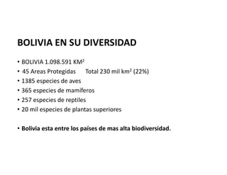 BOLIVIA EN SU DIVERSIDAD
• BOLIVIA 1.098.591 KM2
• 45 Areas Protegidas Total 230 mil km2 (22%)
• 1385 especies de aves
• 3...