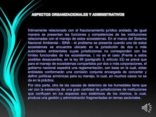 ASPECTOS ORGANIZACIONALES Y ADMINISTRATIVOS



Íntimamente relacionado con el fraccionamiento jurídico anotado, de igual
manera se presentan las funciones y competencias de las instituciones
relacionadas con el manejo de estos ecosistemas. En el marco del Sistema
Nacional Ambiental - SINA - el problema se presenta cuando uno de estos
ecosistemas se encuentra ubicado en la jurisdicción de dos o más
autoridades ambientales cuyas jurisdicciones no corresponden con los
límites funcionales de los ecosistemas. ( no es el caso )Frente a estos
posibles desacuerdos, en la ley 99 (parágrafo 3, artículo 33) se prevé que
para el manejo de ecosistemas compartidos por dos o más corporaciones, el
gobierno nacional expedirá una reglamentación, con base en la cual, estas
entidades conformarán una comisión conjunta encargada de concertar y
definir políticas armónicas para su manejo, lo cual, en muchos casos no se
da en la práctica.
Por otra parte, otra de las causas de deterioro de los humedales tiene que
ver con la existencia de una gran cantidad de jurisdicciones de instituciones
que confluyen en los espacios eco sistémicos de los mismos, lo cual,
produce una gestión y administración fragmentadas en temas sectoriales.
 