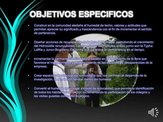 OBJETIVOS ESPECIFICOS
•   Construir en la comunidad aledaña al humedal de techo, valores y actitudes que
    permitan apreciar su significado y trascendencia con el fin de incrementar el sentido
    de pertenencia.

•   Diseñar acciones de recuperación de la flora del humedal, permitiendo el crecimiento
    del Hidrocótila ranunculoides, Lemna minor y las múltiples eneas como son la Typha
    Lafifia y Junco Bogotano. De forma que garantice la permanencia en el tiempo.

•   Incrementar la permanencia de la fauna basado en el crecimiento de la flora que
    favorece el mantenimiento y establecimiento de las especies ya desaparecidas de la
    empresa.

•   Crear espacios de participación comunitaria que nos permitan el desarrollo de la
    investigación, la recreación familiar dentro del humedal.

•   Convertir el humedal en un lugar símbolo de la localidad, que permita la identificación
    de todos los habitantes del sector, incrementando la participación de los colegios y
    las visitas guiadas como sitio ecológico.
 