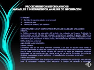 PROCEDIMIENTOS METODOLOGICOS
VARIABLES E INSTRUMENTOS, ANALISIS DE INFORMACION


     VARIABLES:
      Cantidad de especies actuales en el humedal.
      cantidad de agua
      cantidad de oxigeno y gas carbónico

     INSTRUMENTOS PARA LA GESTIÓN AMBIENTAL EN LOS HUMEDALES URBANOS DE
     BOGOTÁ,.
     La Política Ambiental, La ordenación del territorio ,La evaluación del Impacto Ambiental, La
     contaminación, La vida silvestre ,La educación ambiental ,Los estudios de paisaje , El Plan de
     Ordenamiento Territorial, los humedales y la Estructura Ecológica Principal, La Política de Humedales
     del Distrito Capital, El protocolo de Restauración y Rehabilitación de Humedales en Centros Urbanos
     El Plan de Manejo Ambiental.
     ANALISIS DE LA INFORMACION:
     Fuentes Primarias
     Comprende todo tipo de datos realmente existentes y que sólo se requiere saber dónde se
     encuentran, Hablamos de fuente oral o personas que están presenciando los acontecimientos en este
     caso se puede tomar como fuentes primarias, las personas del sector, los ecologistas, estudiosos
     ambientales, ya que pueden dar una mirada amplia de los hechos. Comunidad de los barrios
     aledaños: encuestas personales, telefónicas y virtuales Expertos en procesos ambientales.
     Fuentes secundarias:
     Constituyen el fundamento de la investigación comercial, requieren una metodología adecuada para
     crear la información: Podemos tomar Periódicos o análisis de alcaldías y localidades
     .
 