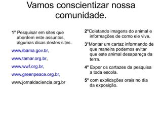 Tarefa Cada dupla pesquisará sobre um animal que será escolhido por sorteio. 