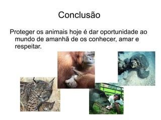 Vamos conscientizar nossa comunidade. 1°  Pesquisar em sites que abordem este assuntos, algumas dicas destes sites.  www.ibama.gov.br , www.tamar.org.br , www.wwf.org.br , www.greenpeace.org.br , www.jornaldaciencia.org.br 2° Coletando imagens do animal e informações de como ele vive. 3 °Montar um cartaz informando de que maneira podemos evitar que este animal desapareça da terra.  4°  Expor os cartazes da pesquisa a toda escola. 5°  com explicações orais no dia da exposição. 