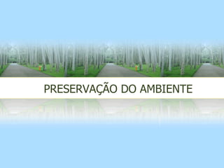 PRESERVAÇÃO DO AMBIENTE 