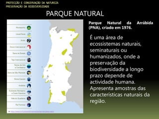 PROTECÇÃO E CONSERVAÇÃO DA NATUREZA
PRESERVAÇÃO DA BIODIVERSIDADE
PARQUE NATURAL
In: http://www.icnf.pt/portal/naturaclas/ap/nac/parq-natur
É uma área de
ecossistemas naturais,
seminaturais ou
humanizados, onde a
preservação da
biodiversidade a longo
prazo depende de
actividade humana.
Apresenta amostras das
características naturais da
região.
Parque Natural da Arrábida
(PNA), criado em 1976.
 