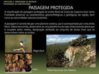 PROTECÇÃO E CONSERVAÇÃO DA NATUREZA
PRESERVAÇÃO DA BIODIVERSIDADE
PAISAGEM PROTEGIDA
A classificação de paisagem protegida da arriba fóssil da Costa da Caparica teve como
finalidade preservar as características geomorfológicas e geológicas da região, bem
como as comunidades naturais existentes.
A paisagem é constituída por uma planície costeira, que é acompanhada por uma arriba
fóssil. Sobre esta arriba, desenvolve-se uma plataforma de topo relativamente plana que
é ocupado pelos medos, designação atribuída ao conjunto de dunas fixas que se
desenvolvem sobre as arribas.
In: http://ipt.olhares.com/data/big/485/4856388.jpg Pega Azul
In: ttp://www.criancaenatureza.pt/xFiles/scContentDeployer_pt/images/image209.gif
Mata Nacional dos Medos
In:
http://campus.fct.unl.pt/afr/ipa_9900/grupo0040_
natureza/arriba_ficheiros/image006.jpg
Helix
 