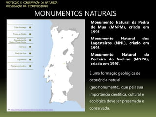 PROTECÇÃO E CONSERVAÇÃO DA NATUREZA
PRESERVAÇÃO DA BIODIVERSIDADE
MONUMENTOS NATURAIS
In: http://www.icnf.pt/portal/naturaclas/ap/nac/mon-natur
É uma formação geológica de
ocorrência natural
(geomonumento), que pela sua
importância científica, cultural e
ecológica deve ser preservada e
conservada.
Monumento Natural da Pedra
de Mua (MNPM), criado em
1997.
Monumento Natural dos
Lagosteiros (MNL), criado em
1997.
Monumento Natural da
Pedreira do Avelino (MNPA),
criado em 1997.
 