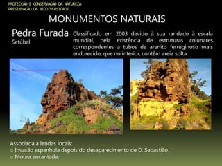 PROTECÇÃO E CONSERVAÇÃO DA NATUREZA
PRESERVAÇÃO DA BIODIVERSIDADE
MONUMENTOS NATURAIS
Pedra Furada
Setúbal
In: http://ipt.olhares.com/data/big/444/4443050.jpg
In: http://lusophia.files.wordpress.com/2013/02/pedra-furada-
setc3babal.png
Classificado em 2003 devido à sua raridade à escala
mundial, pela existência de estruturas colunares
correspondentes a tubos de arenito ferruginoso mais
endurecido, que no interior, contêm areia solta.
Associada a lendas locais:
o Invasão espanhola depois do desaparecimento de D. Sebastião.
o Moura encantada.
 