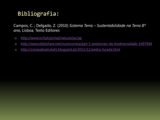 Bibliografia:
o http://www.icnf.pt/portal/naturaclas/ap
o http://www.slideshare.net/nunocorreia/ppt-1-preservao-da-biodiversidade-1497944
o http://coisasdesetubal1.blogspot.pt/2011/12/pedra-furada.html
Campos, C. ; Delgado, Z. (2010) Sistema Terra – Sustentabilidade na Terra 8º
ano, Lisboa, Texto Editores
 
