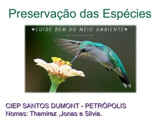 Preservação das Espécies CIEP SANTOS DUMONT - PETRÓPOLIS Nomes: Thamirez ,Jonas e Silvia. 