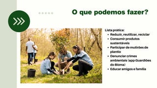 Preservação e Conservação Ambiental: Protegendo a Biodiversidade para ...
