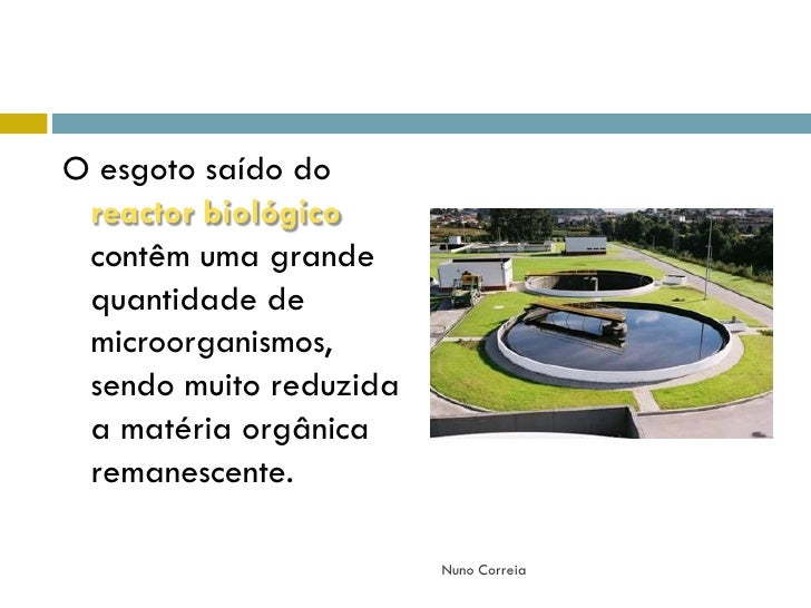 Diariamente Liberamos No Ambiente Uma Grande Quantidade De Esgoto