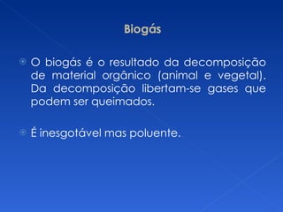 Biogás O biogás é o resultado da decomposição de material orgânico (animal e vegetal). Da decomposição libertam-se gases que podem ser queimados. É inesgotável mas poluente. 