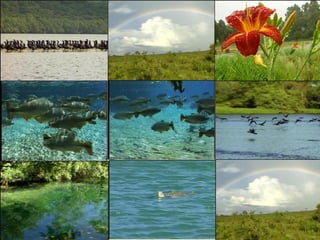 Podes consultar o  link  e obteres a definição dos conceitos. 