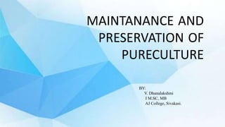 MMMMM
MAINTANANCE AND
PRESERVATION OF
PURECULTURE
BY:
V. Dhanalakshmi
I M.SC, MB
AJ College, Sivakasi.
 