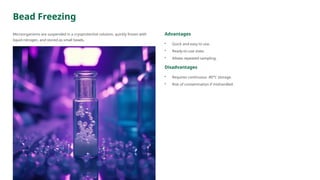 Bead Freezing
Microorganisms are suspended in a cryoprotective solution, quickly frozen with
liquid nitrogen, and stored as small beads.
Advantages
• Quick and easy to use.
• Ready-to-use state.
• Allows repeated sampling.
Disadvantages
• Requires continuous -80°C storage.
• Risk of contamination if mishandled.
 